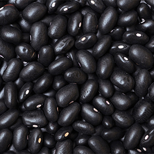 Black Beans